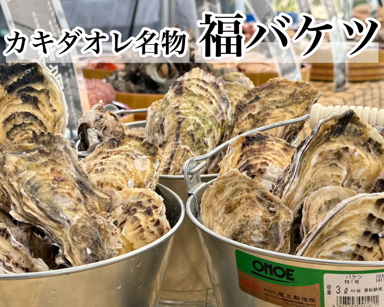 【岐阜県土岐市】牡蠣2026g2026円！？カキダオレからの新春お年玉福袋越えの牡蠣の「福バケツ」2026年1月2日から初売り！各日限定26杯！20kg越えの「超福バケツ」も勇気があるなら買ってみな！