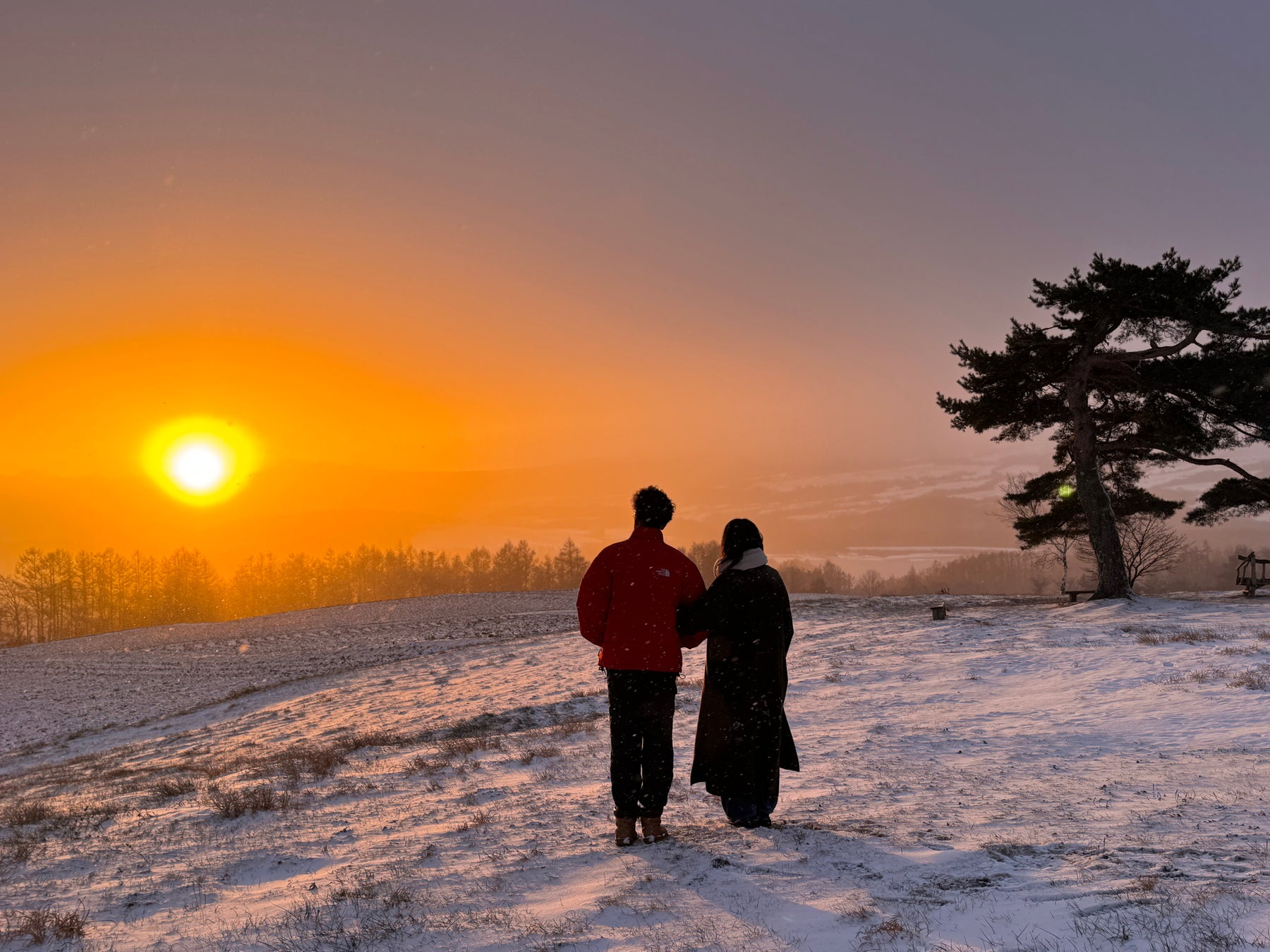 南海トラフ大地震などの大津波に備えて、夜間の捜索が可能な無人ドローンレーザー捜索隊を整備！