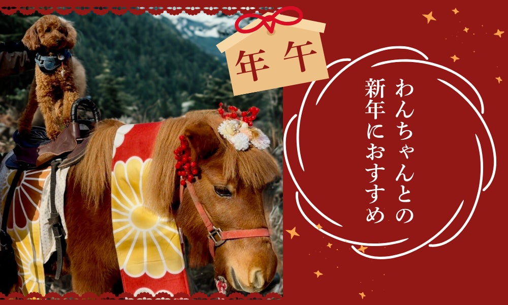 【正月】愛犬と共に、午年 2026年 初詣&乗馬で　幸せ祈願！来年は午年! フォレストヒルズ那須のポニー「ミルキー」がお正月の装いでお出迎え 愛犬と一緒に新年の記念写真＆那須温泉神社で愛犬と初詣