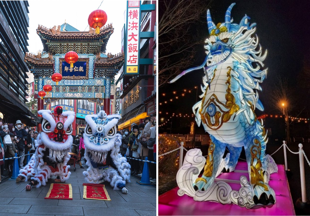 もふもふ×カラフルで癒しをお届け！思わず抱きしめたくなるサイズ感の「アルパカぬいぐるみ」がエブリデイ限定で登場！