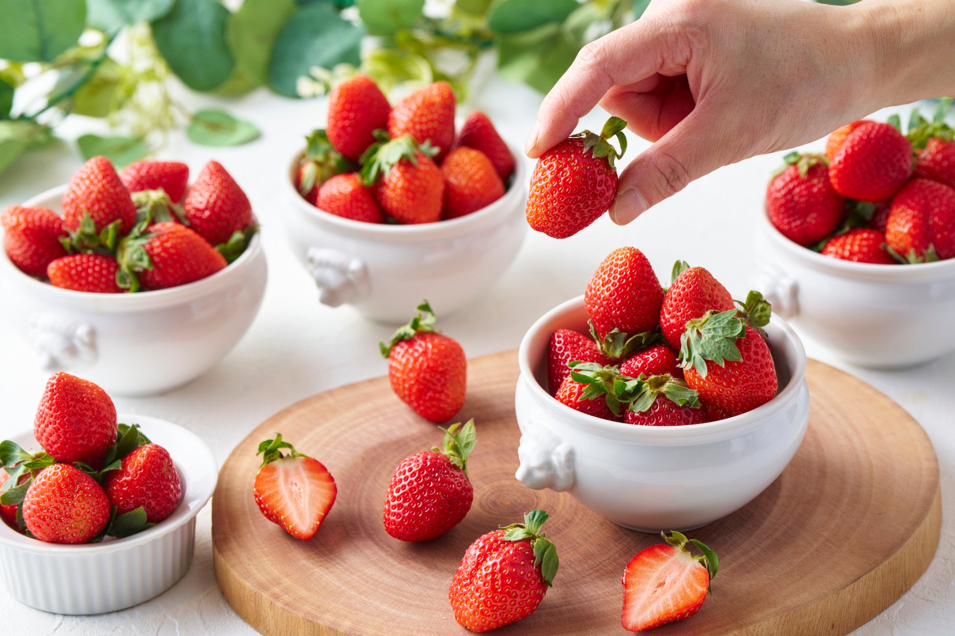 平安～平成の“多彩な刀剣”が勢揃い！企画展「いろんな刀大集合」新春開催／名古屋刀剣ワールド