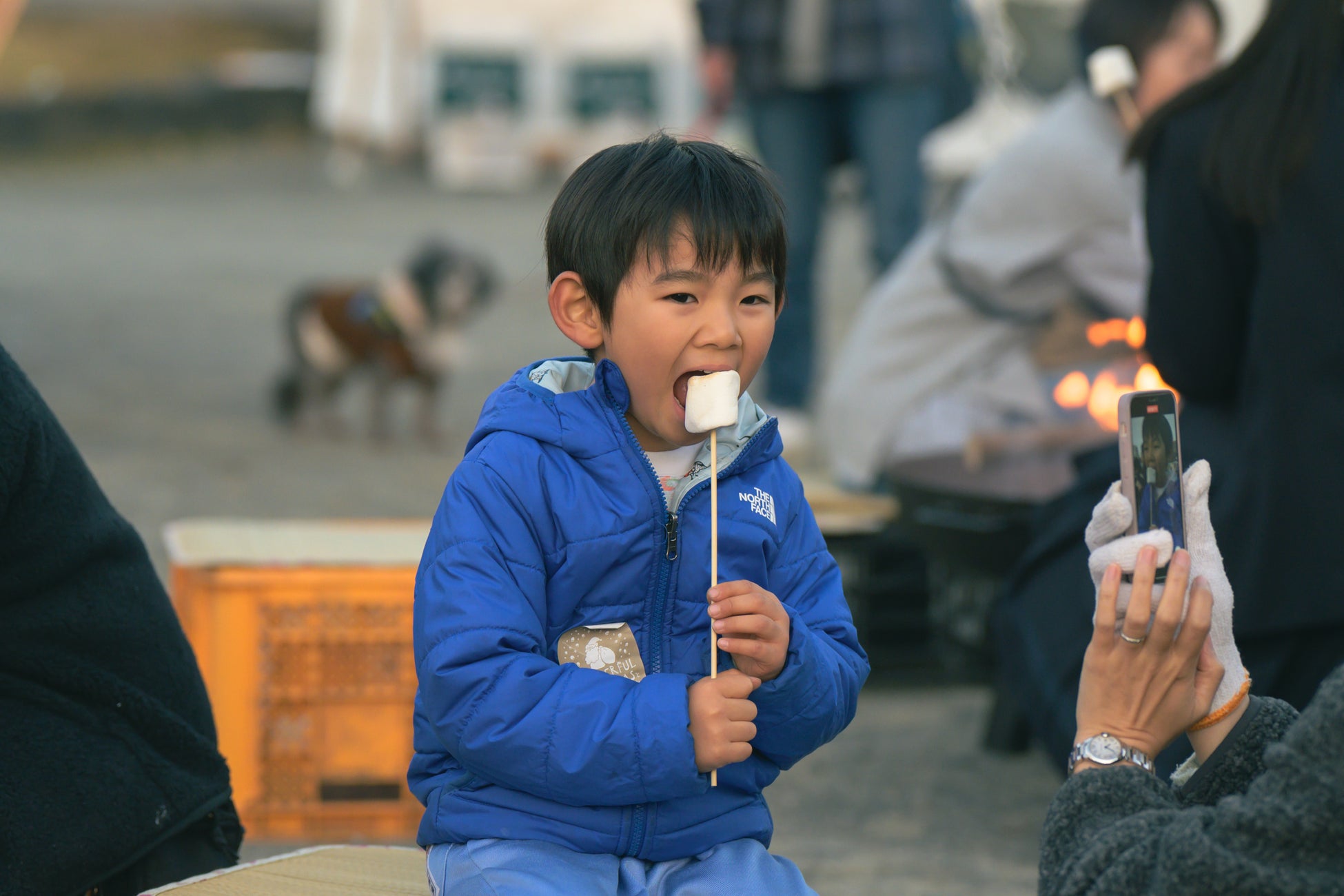 【家族で楽しむ新年イベント】ランタン夜市でお米農家による餅つき大会を開催2026年1月10日・11日｜静岡・駿府城公園［参加無料］