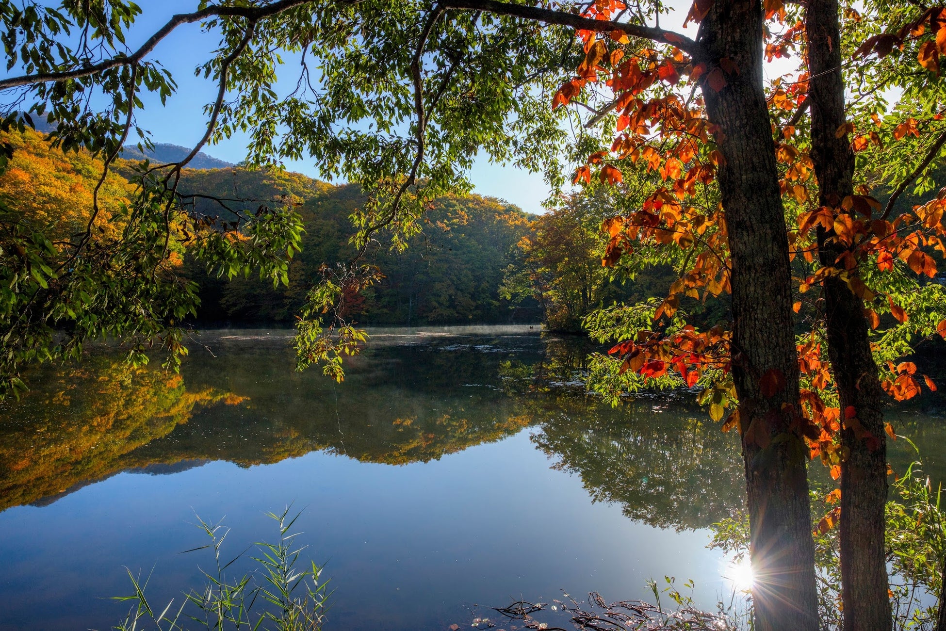 UMITOからフラグシップモデルとなる3棟のヴィラが誕生。第一弾「UMITO 瀬底島 GROTTO」本日2026年1月7日より第1期販売開始