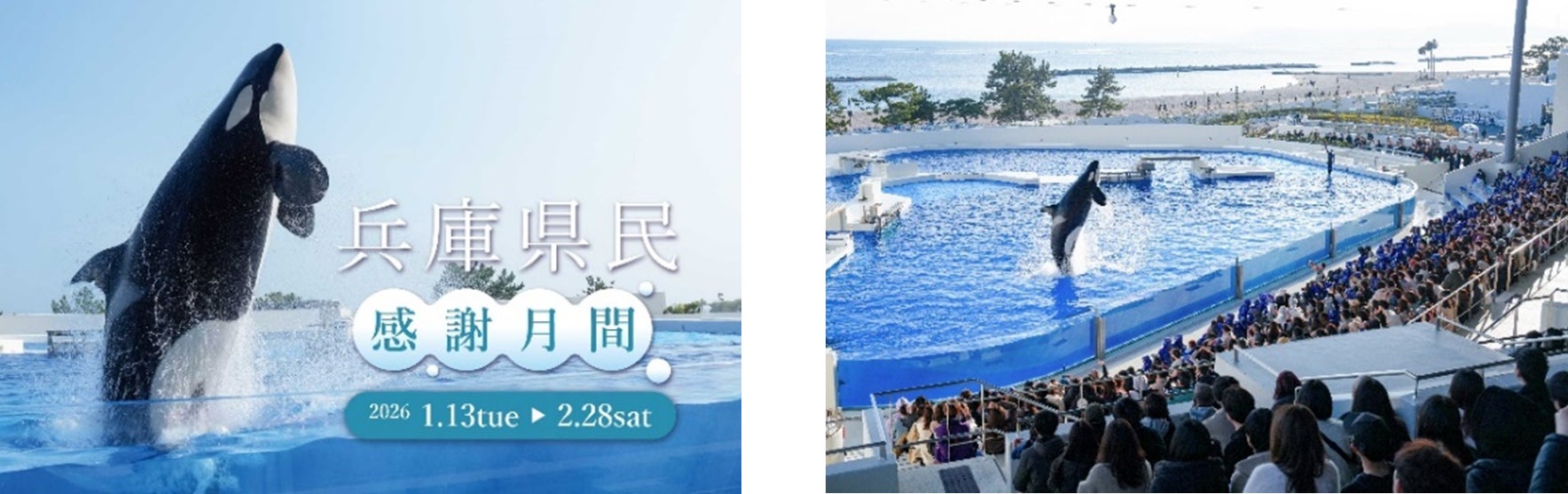【神戸須磨シーワールド】日頃の感謝を込めて「兵庫県民感謝月間」を開催　兵庫県に在住の方は入館料大人2,500 円