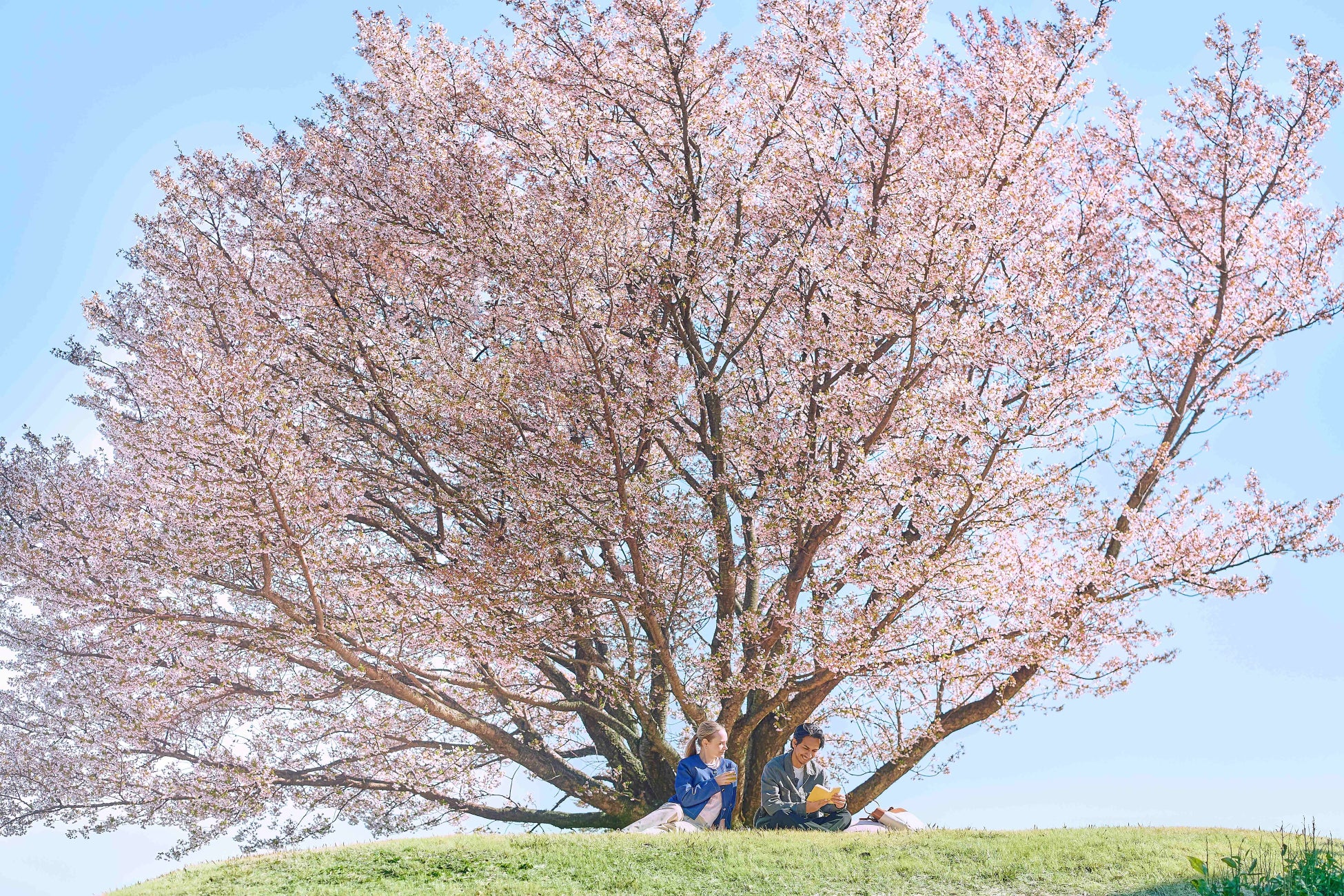 「STARAY」なんばパークス店移転のお知らせ【APPLE TREE株式会社】