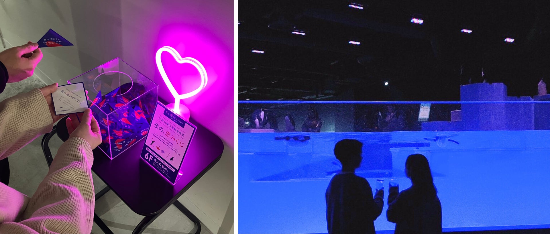 あなたの今夜の愛のスタイルは？ペンギンタイプ？クマノミタイプ？愛を確かめ合う幸せな夜更かしを！ナイトタイム限定プログラム「夜の、恋みくじ」を開催