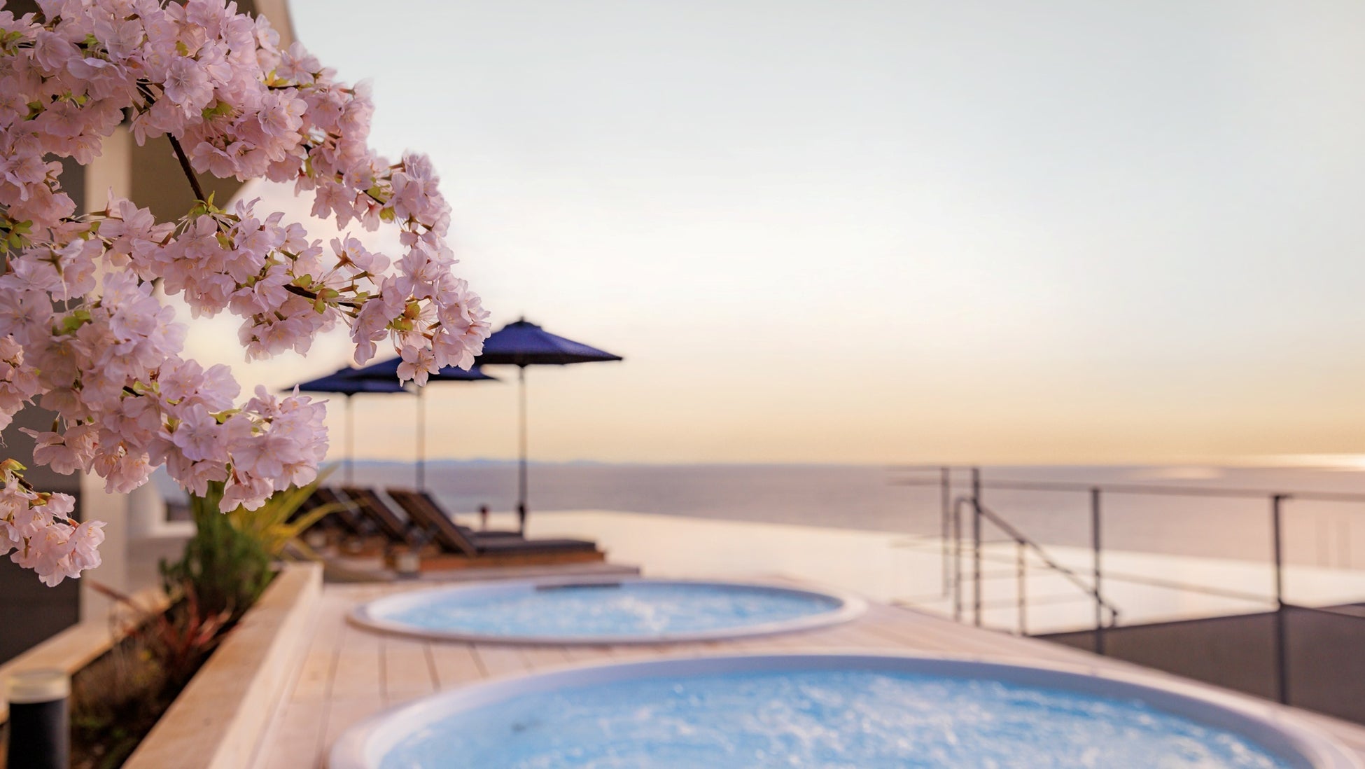 【大磯プリンスホテル】一足早く桜が彩るSPAで、心身を解き放つ“お花見ととのい体験”へ。『OISO 桜咲く季(とき) 2026』を開催