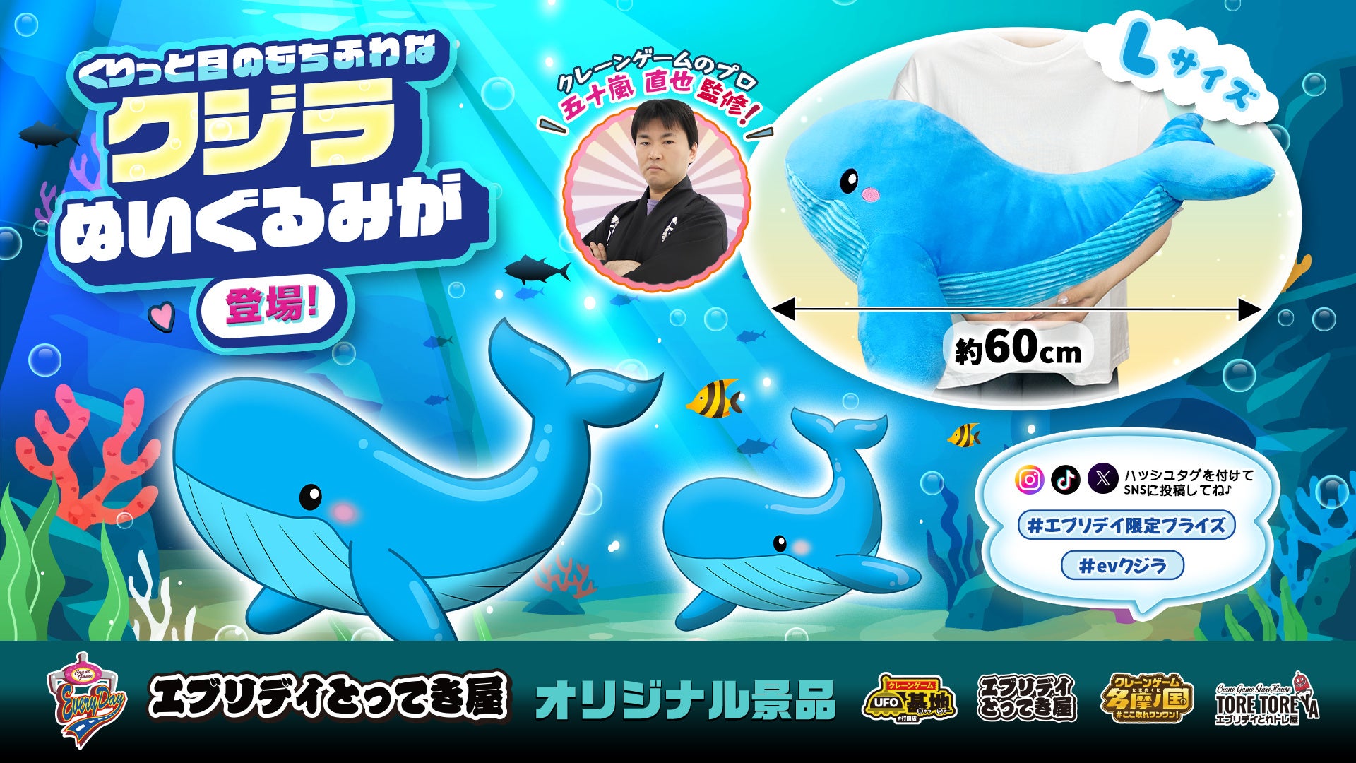 思わず抱きしめたくなる全長約60cm！くりっとした目が特徴の「クジラぬいぐるみ」がエブリデイオリジナル景品として登場
