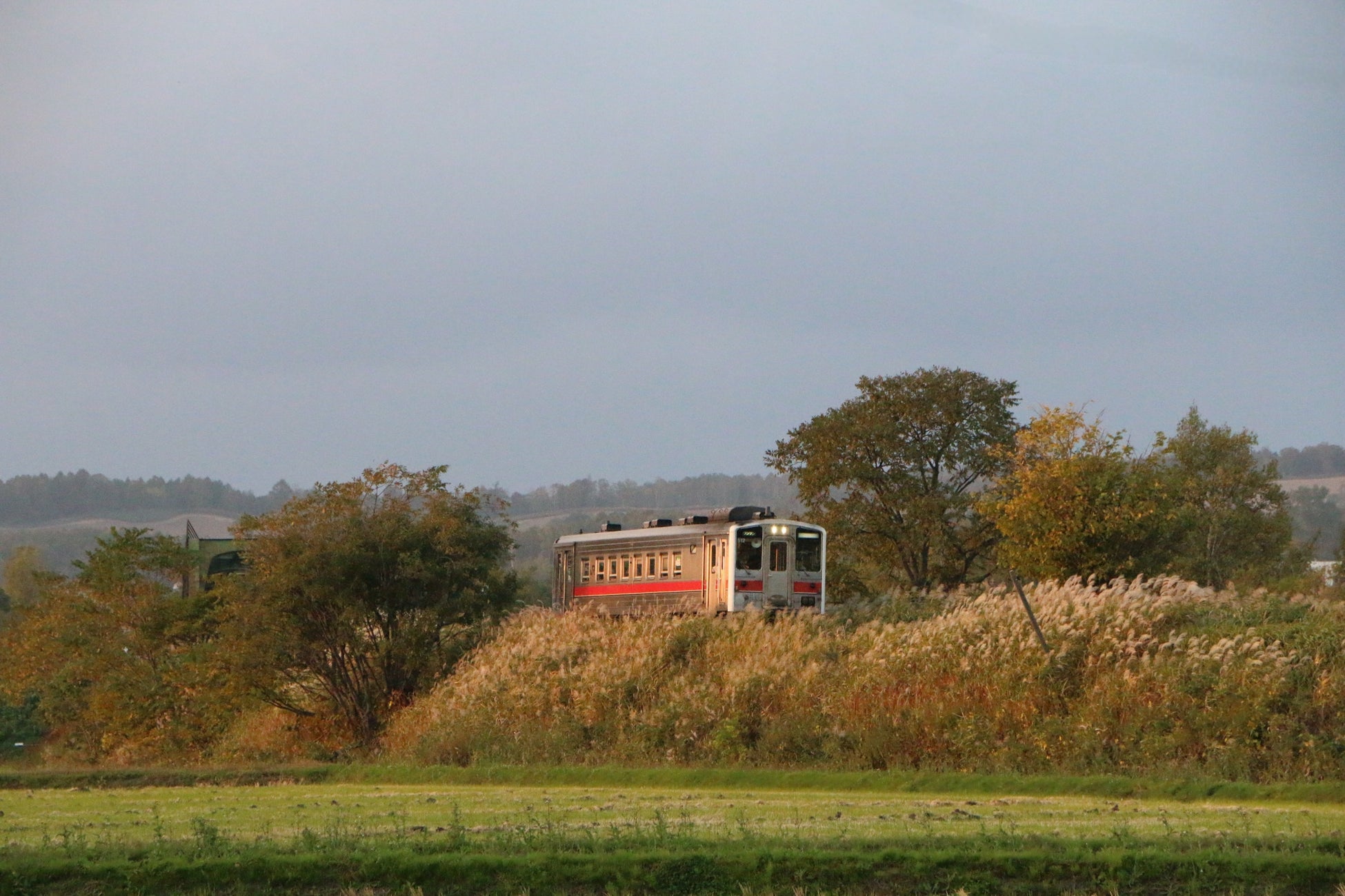 京の匠の息遣いに触れるDiscover Japanese Craft vol.3 西村友禅彫刻店の実演と型彫体験 2日間限定開催
