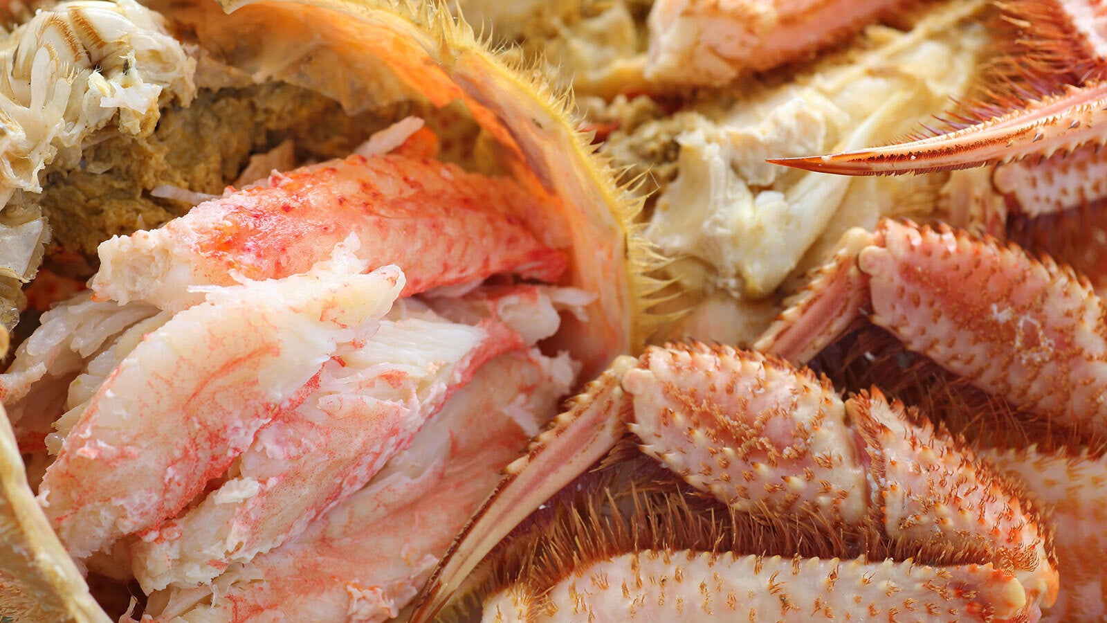 【源泉のお宿 湯河原千代田荘】毛蟹付プランのご提供開始