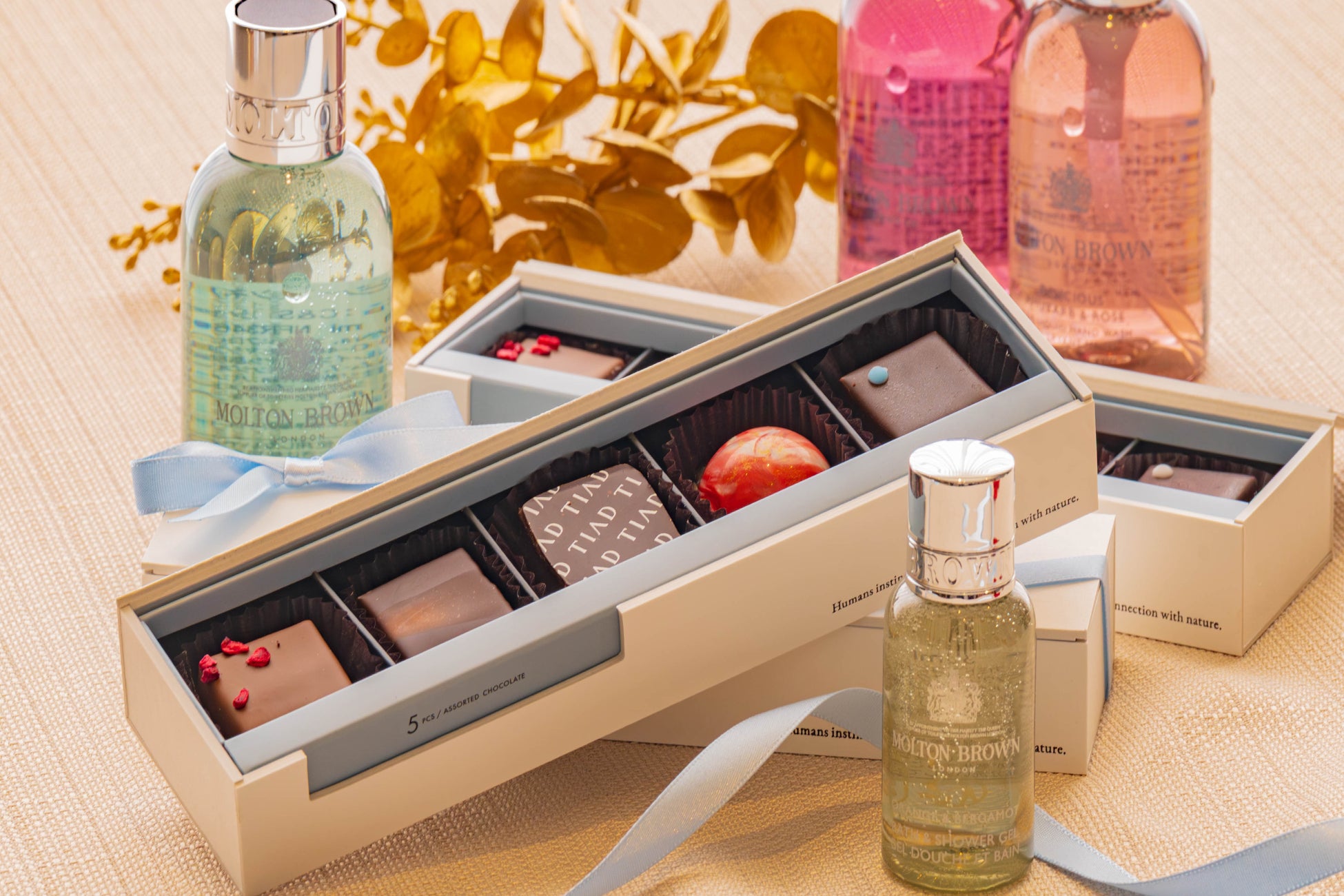 旅先はもちろん、家でも食べたい全国の人気駅弁を1000点以上掲載! イカロスムック『駅弁図鑑2026』を刊行