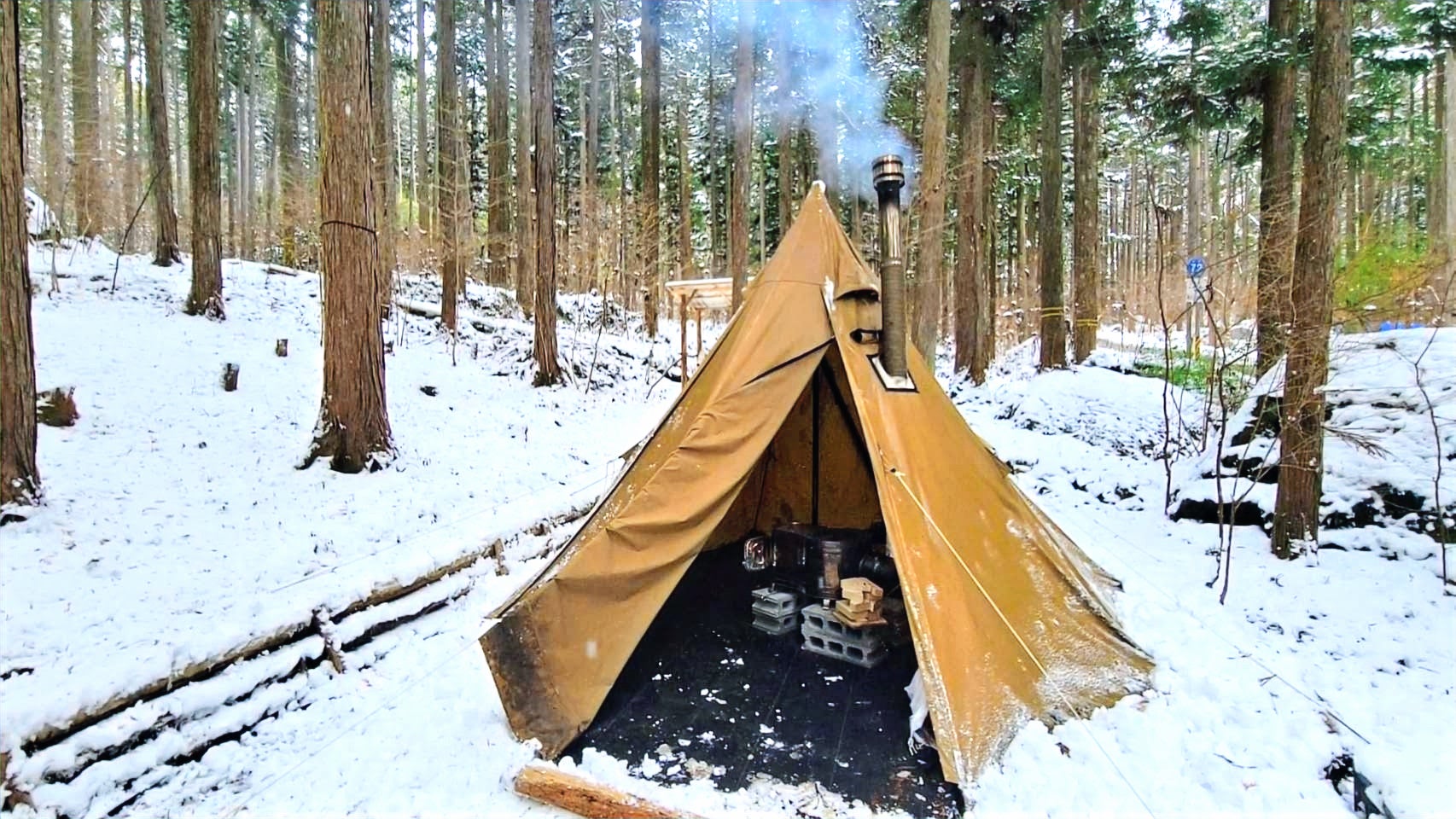 森林レンタルサービス”フォレンタ”、四国初進出　高知県大豊町に「大豊キャンプエリア」をオープン