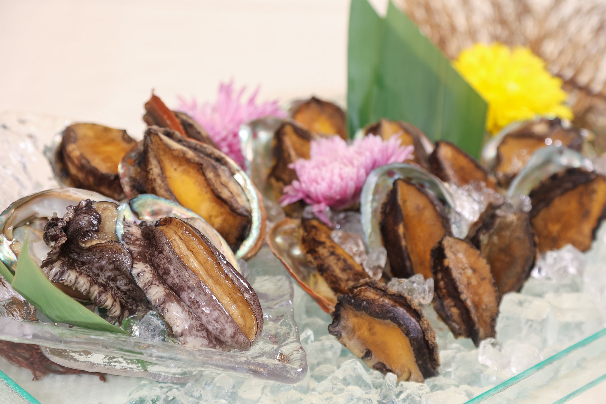 ザ・ウィンザーホテル洞爺リゾート＆スパ【噴火湾産 ”蝦夷鮑” フェア】を開催