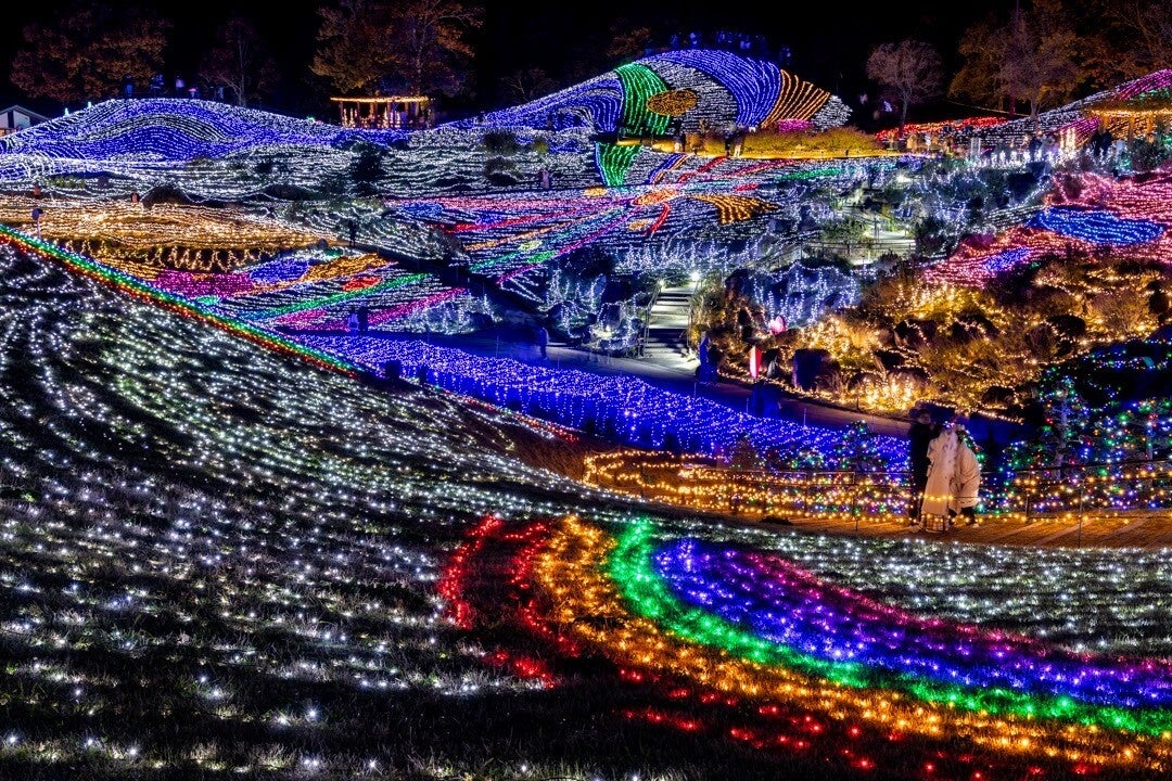 まんのう公園のイルミネーション「ウィンターファンタジー」に過去最多20万人が来園（国営讃岐まんのう公園）