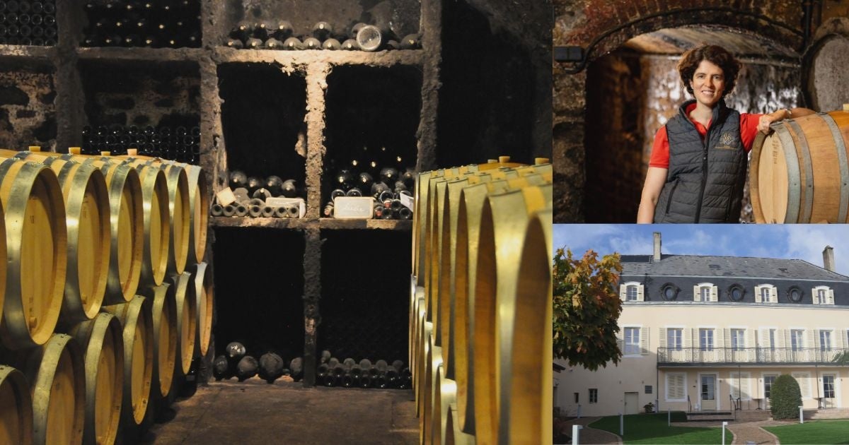 FDA　2026年3月29日(日)以降の路線・便数・各種運賃額について