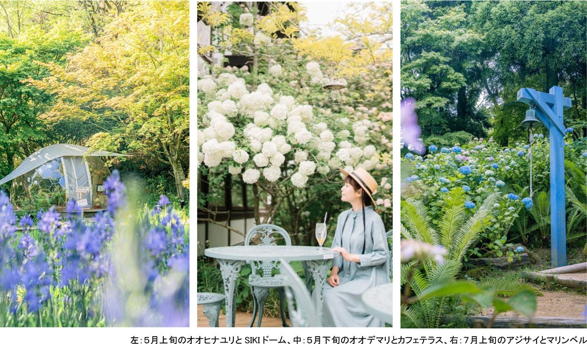 ROKKO森の音ミュージアム フェア「ハーモニー・オブ・ガーデン」 六甲山のナチュラルガーデンのフラワーシーズン到来 2026年3月14日（土）～8月21日（金）