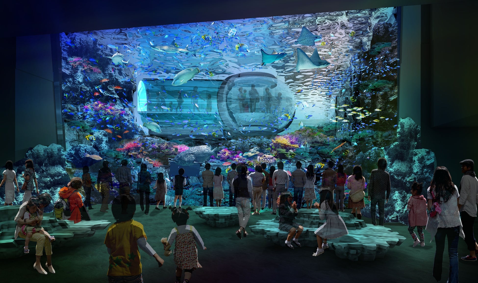 サンゴ礁の保全等に関する包括連携協定の締結式について