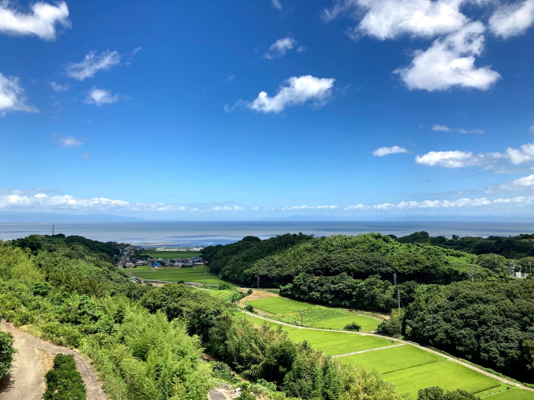 【初開催】小動物の展示即売会「ぴーず」開催決定！（2026/4/5・藤沢駅すぐ）