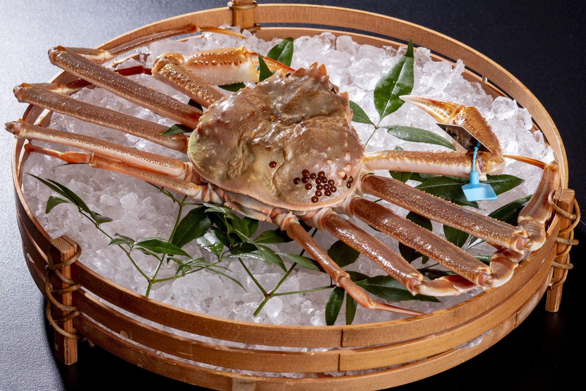 【新日本海フェリー】ゴールデンウィークの乗船予約受付がまもなく開始されます！