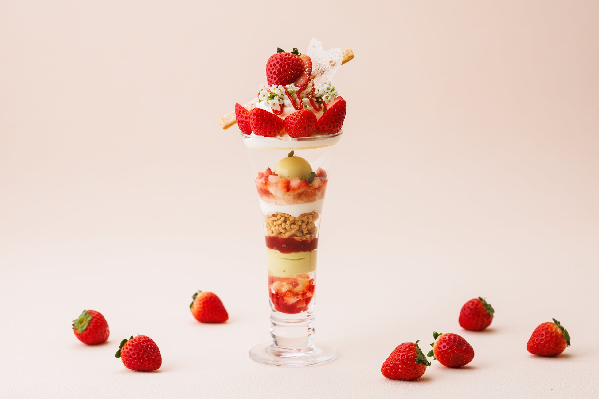 ecbo cloak、サービスローンチから9周年