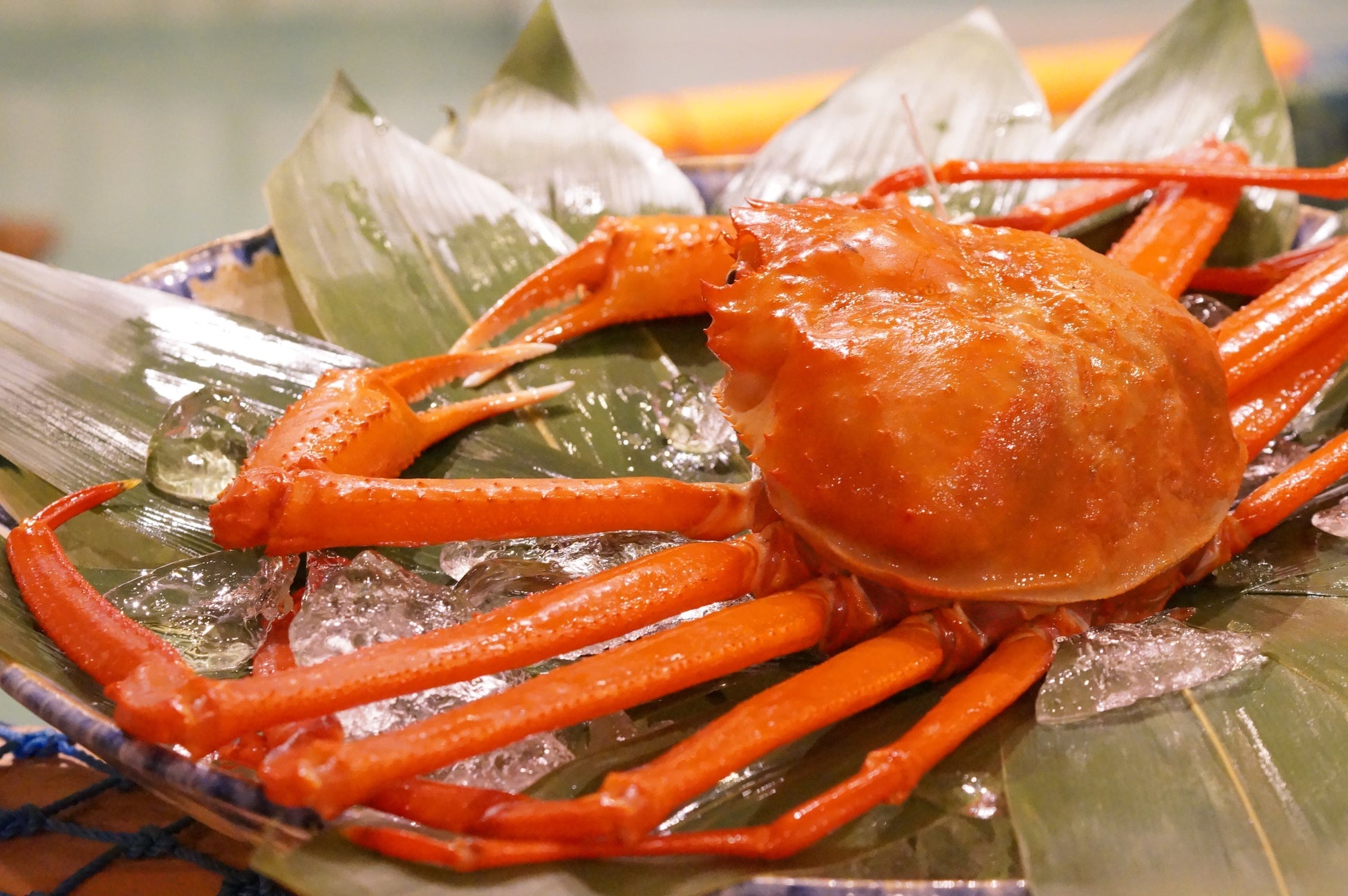 新進気鋭作家によるアート作品 2026年2月特設展示アーティスト ・ yuka otsu氏の作品4点を本展にて展示