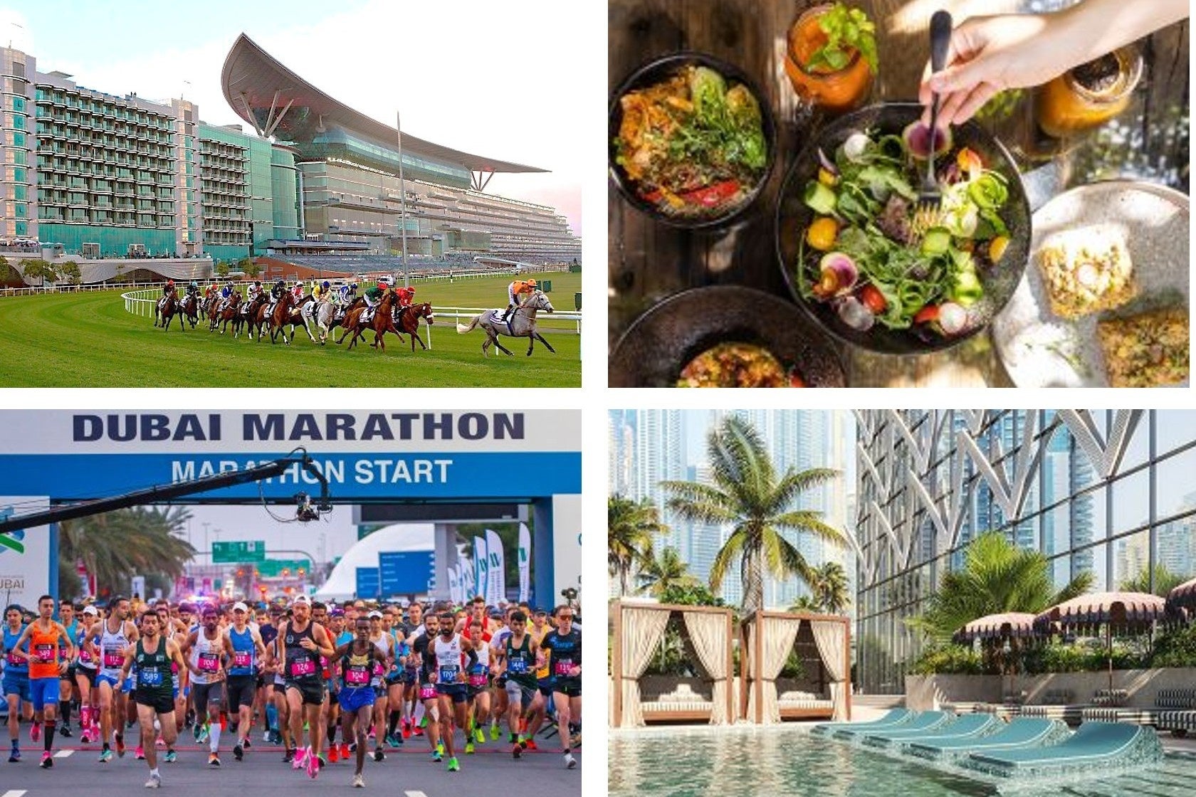 ドバイ・ワールドカップ30周年！競馬場を一望できる豪華ホテルもリニューアル！「ヴィーガニュアリー」が彩る食のトレンド、25周年のドバイ・マラソン情報も
