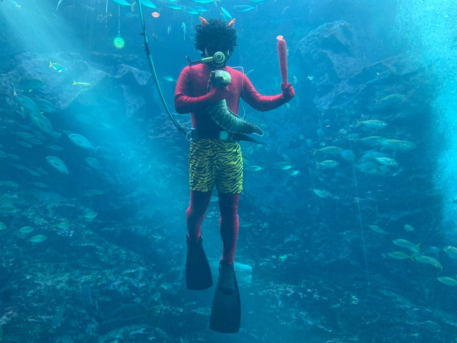 【下田海中水族館】福は内、鬼は海中！？～今年もやってきた！鬼ダイバー登場～　2026年1月24日(土)～2月3日(火)