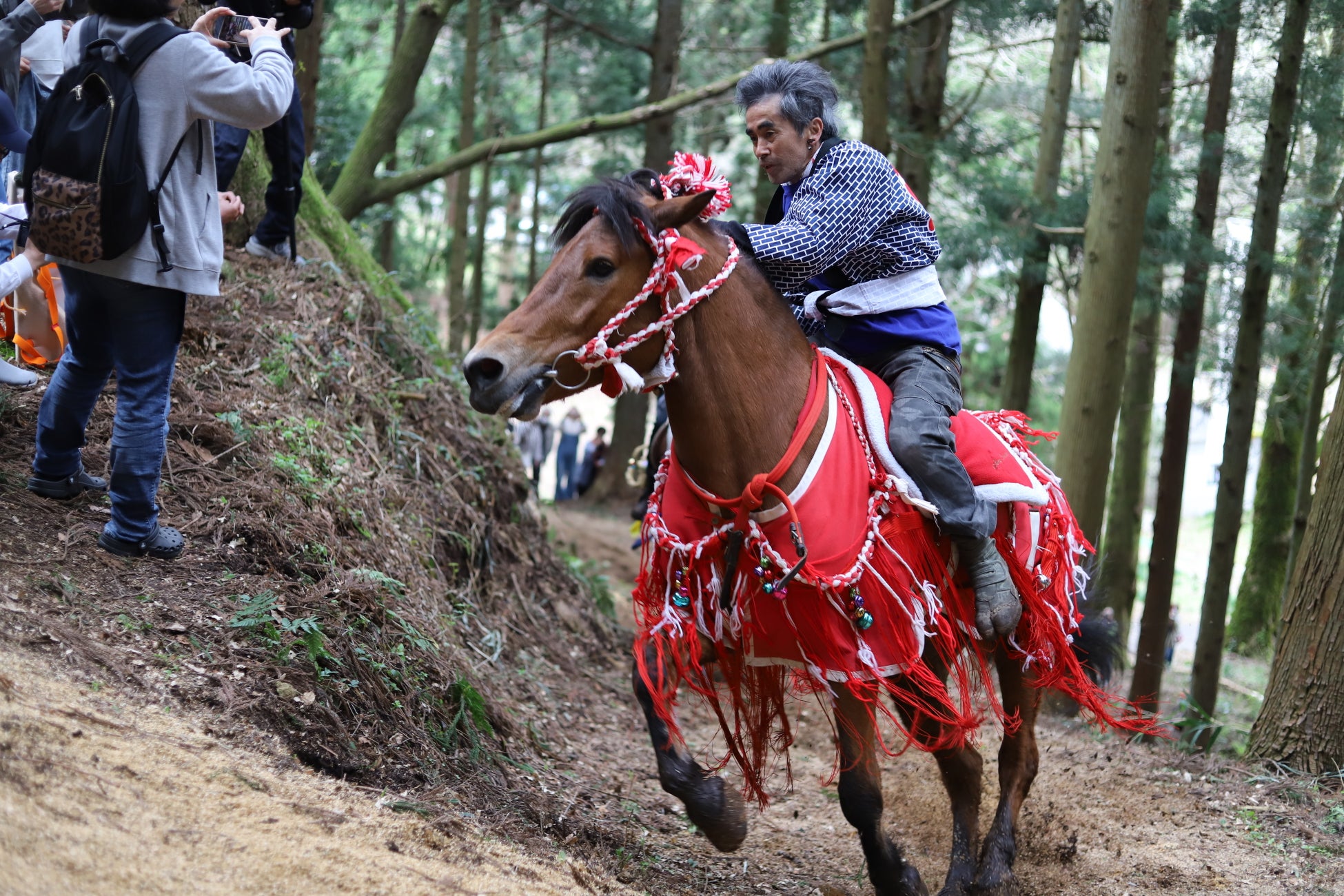 伝統の復活「シャングシャング馬」2026、第二章へ ― 春の鼓動を未来へ。黒川中学校の語り部がつなぐ、新潟県胎内市下赤谷の物語 ―
