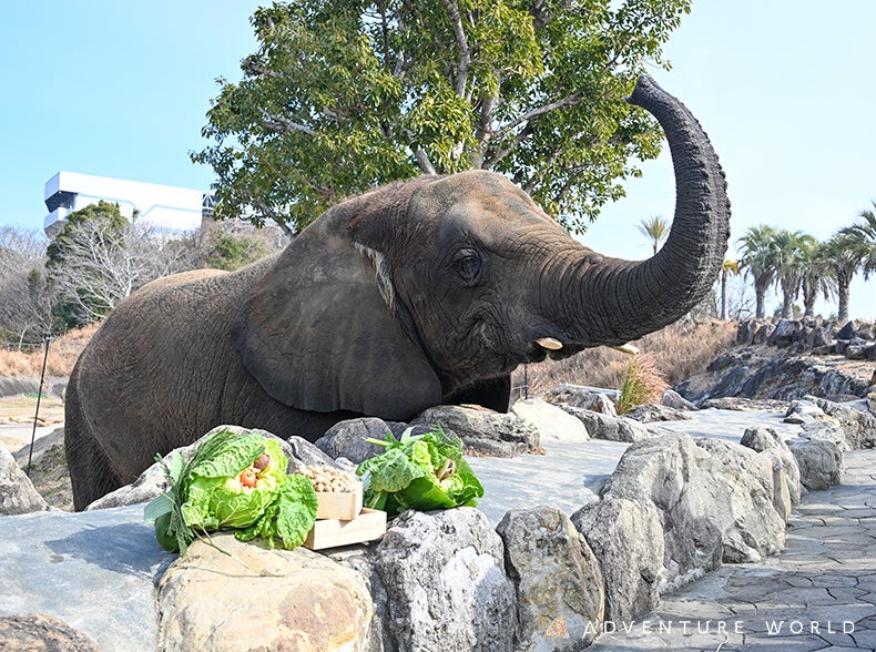 【最強・最長寒波】の夜も朝まであたたかい。“本気の寒さ対策”を考えた「ねぶくろんシリーズ」の布団セット