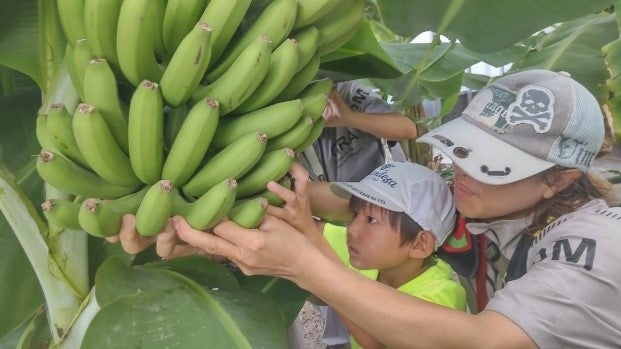 沖縄ビーチスポーツフェスティバル2026