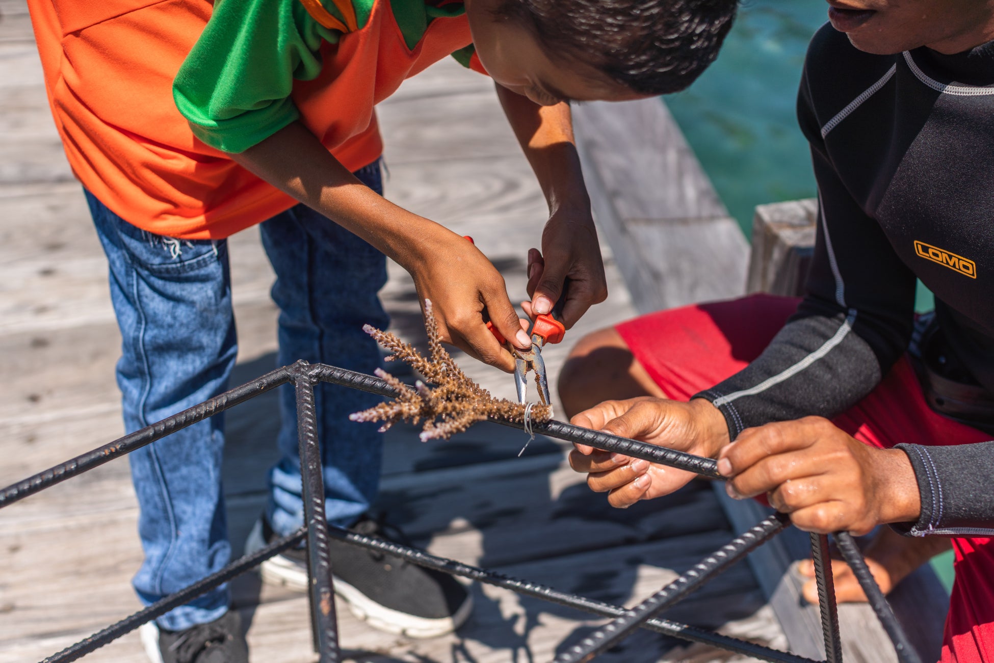 アヤナ コモド ワエチチュビーチ、コモドへの玄関口で自然保護と地域社会への貢献をリード