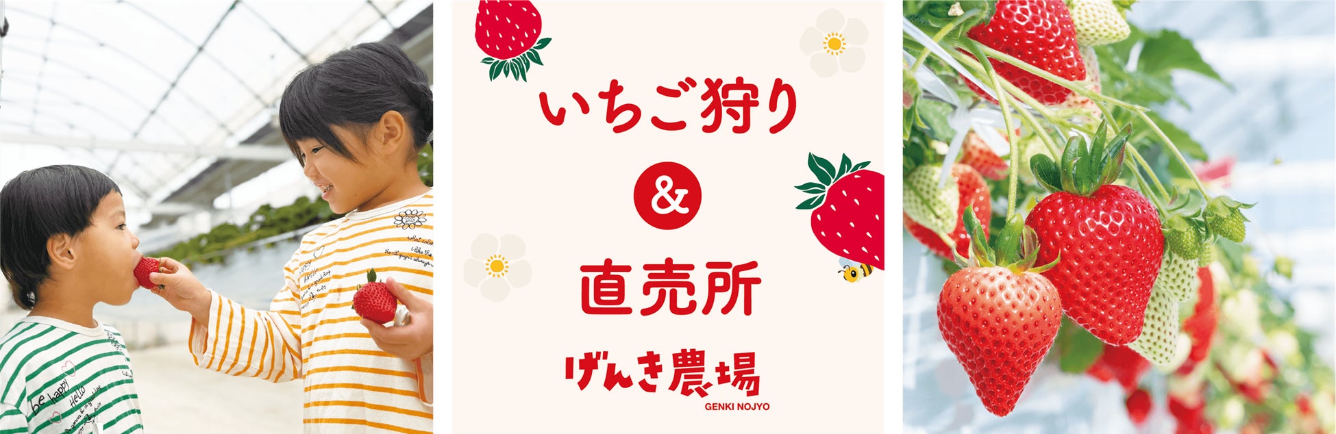 株式会社げんき農場 羽生農場　2026年1月31日(土) 人気5品種の食べ比べが楽しめるいちご狩りをスタート　～直売所外壁へ新フォトスポットも完成～