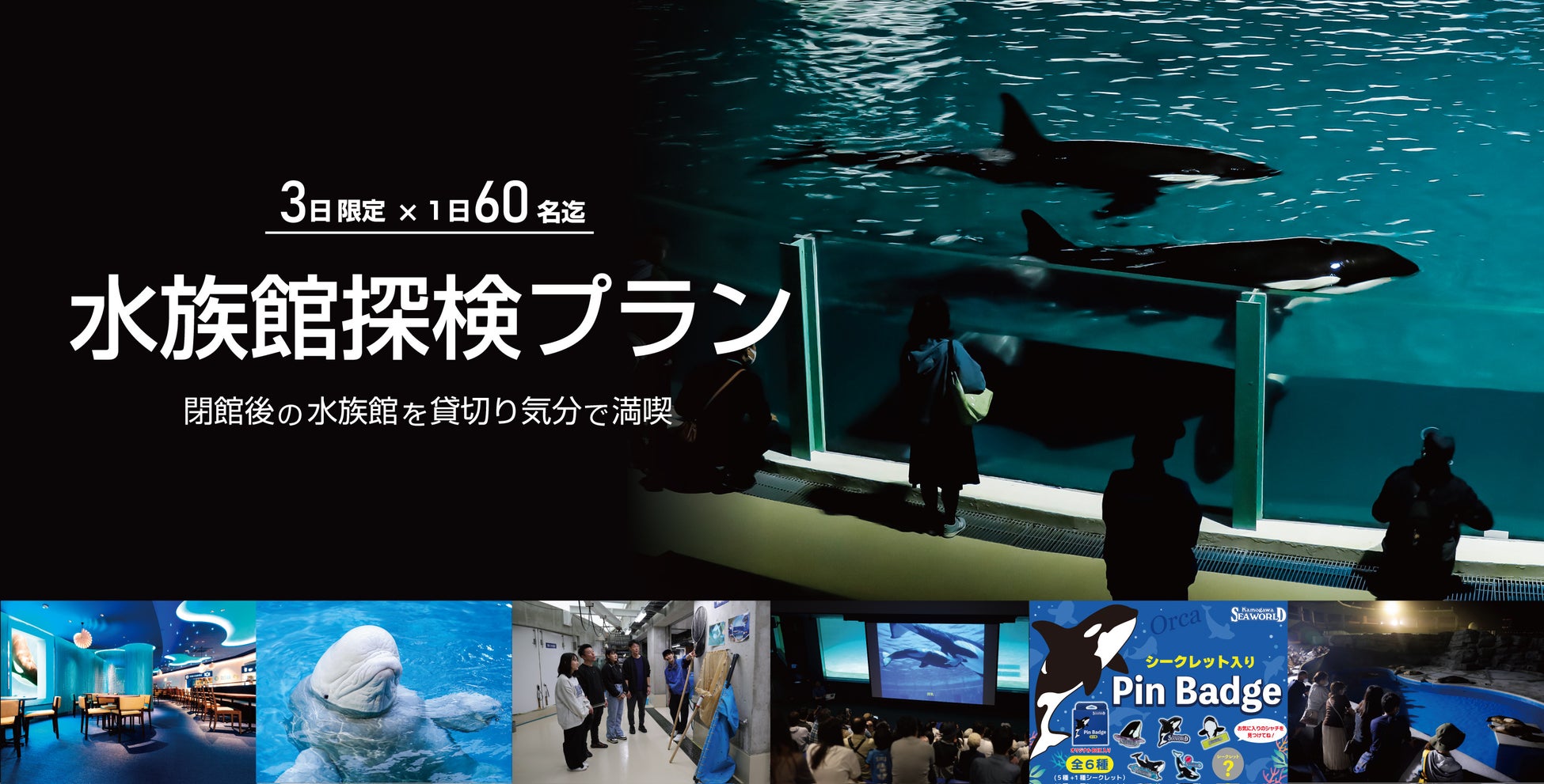 【鴨川シーワールド】閉館後の水族館を貸切り気分で満喫するご褒美プラン！1日60名限定「水族館探検プラン」開催