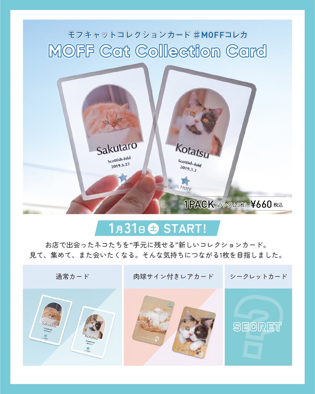 好評につき販売店舗拡大！『MOFF Cat Collection Card』1月31日（土）より新たに7店舗で展開