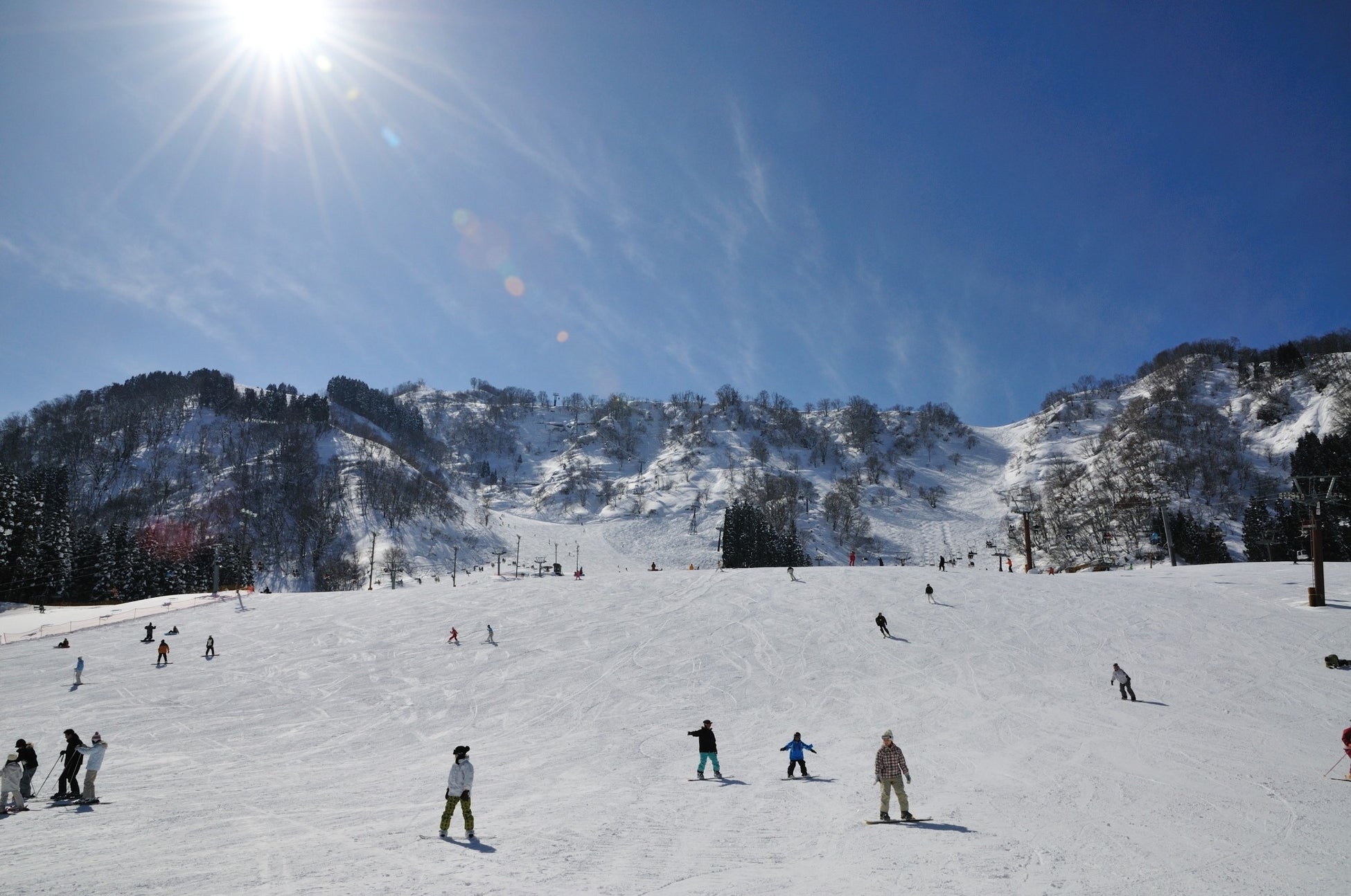 【西表島ホテル】春に可憐な花を咲かせる月桃の香りに包まれ、心安らぐリゾートステイを楽しむ「心ほどける月桃滞在プラン」販売