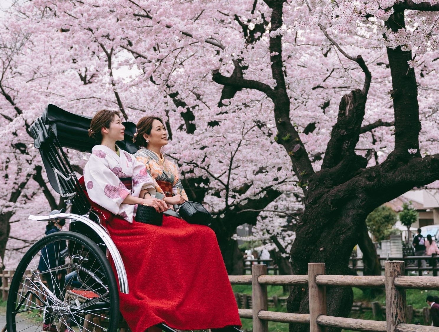 【川越プリンスホテル】人力車で巡る春の川越 静寂と癒しの宿泊プラン「小江戸春旅 ～人力車で朝桜・こころ整う週末旅～」を販売
