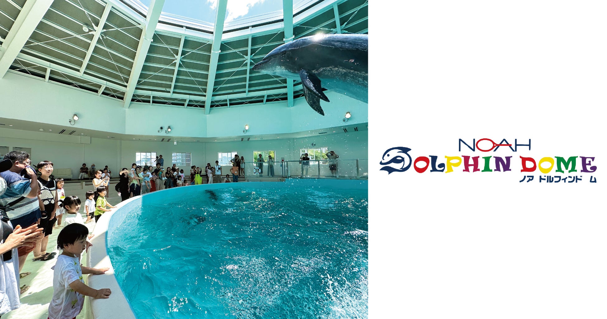 ドーセット バイ アゴーラ 大阪堺　ホテル アゴーラ リージェンシー 大阪堺　地域とともに、ノアドルフィンドーム「堺市民感謝DAY」を応援