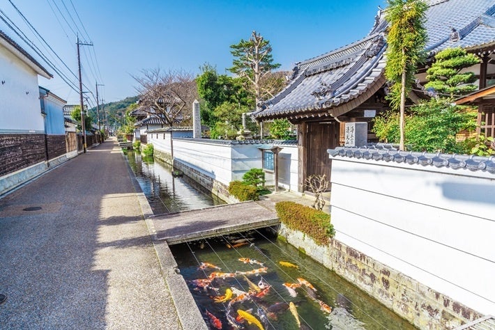 ドーセット バイ アゴーラ 大阪堺　ホテル アゴーラ リージェンシー 大阪堺　地域とともに、ノアドルフィンドーム「堺市民感謝DAY」を応援