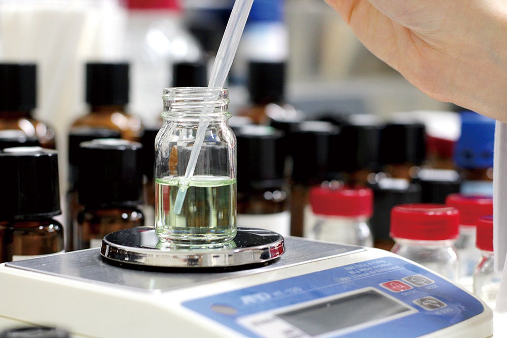 オリオンを飲んでJUNGLIA OKINAWA（ジャングリア沖縄）へ行こう！オリオンブランド横断「ジャングリア沖縄ご招待キャンペーン」第２弾を開催