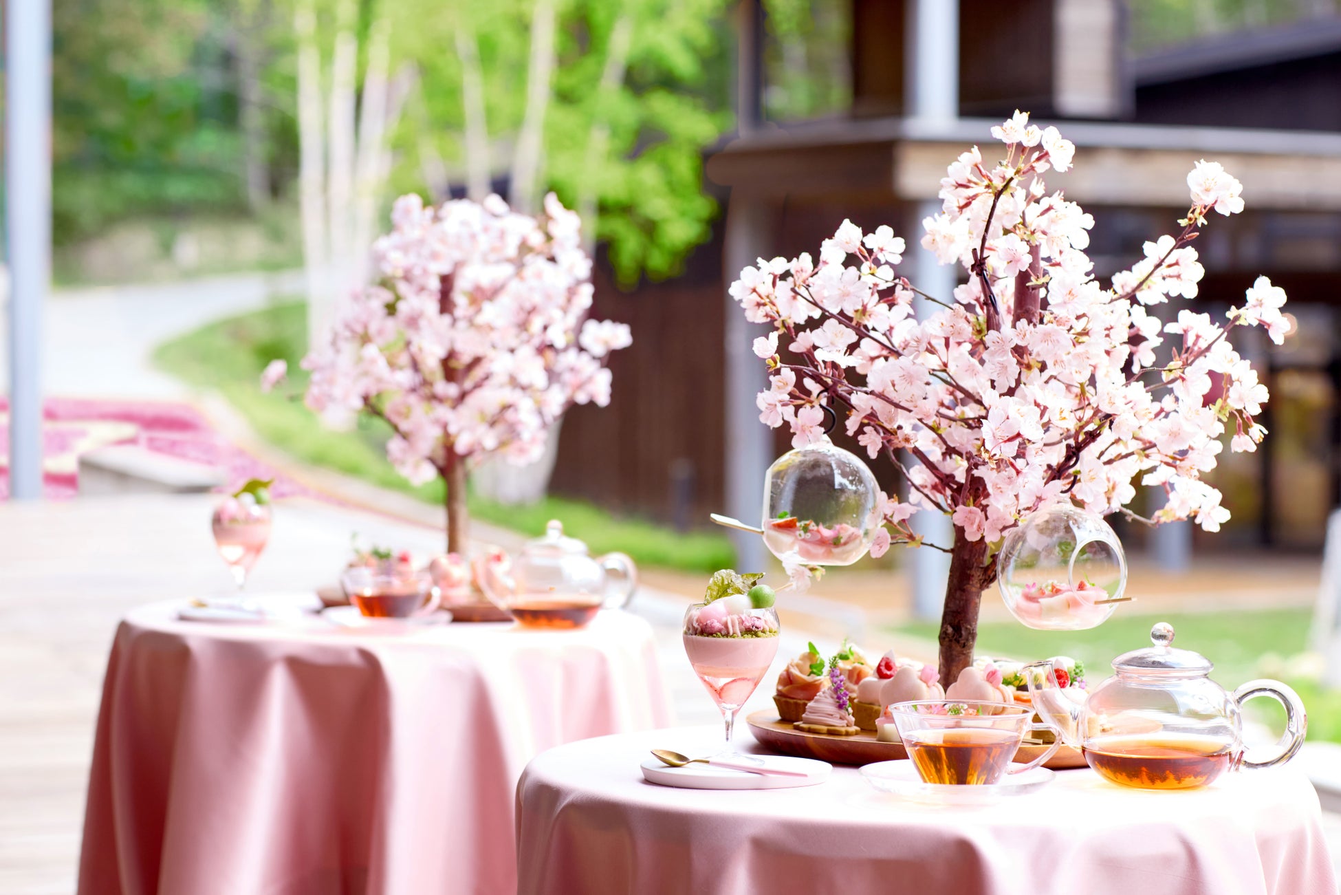 【宜野座村観光協会】阪神タイガース春季キャンプ開催にあわせ、「野球のまち・宜野座」で出会う地域の魅力と島時間