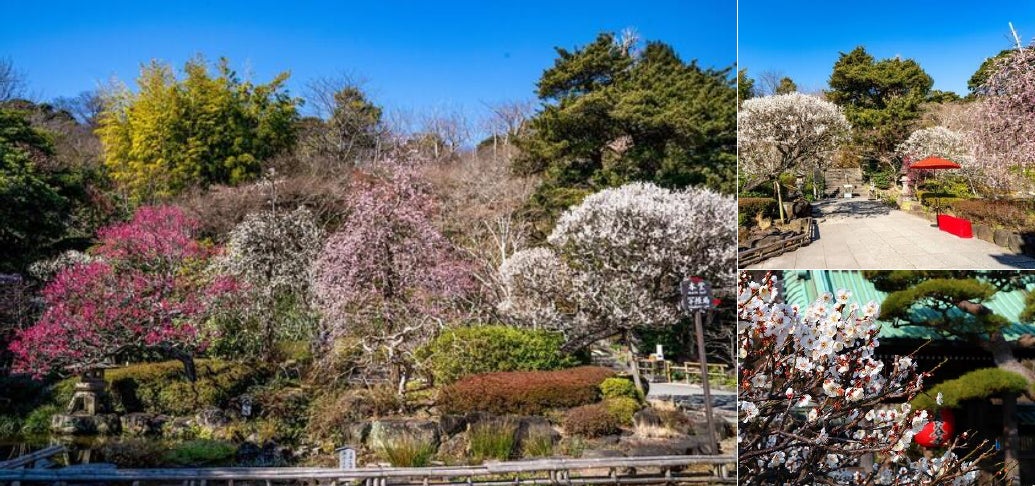 申込受付中!四国水族館でのキャンプ体験! 夜の水族館『NightscapeCamp(ナイトスケープキャンプ)2026春』を開催