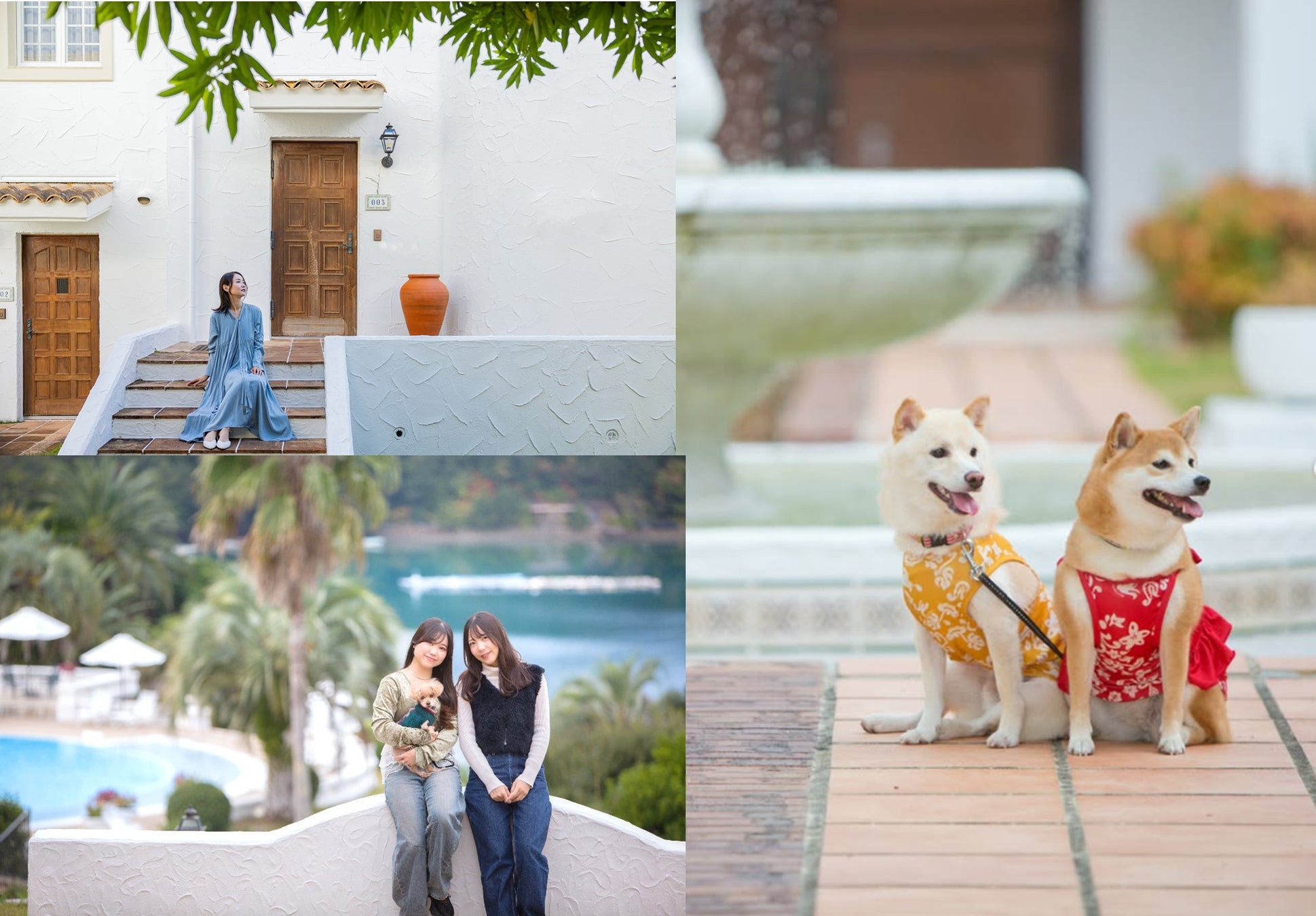 平和と思いやりを「恩送り」でつなぐ~広島市立中学校・中等教育学校・高等学校・特別支援学校へ書籍寄贈~