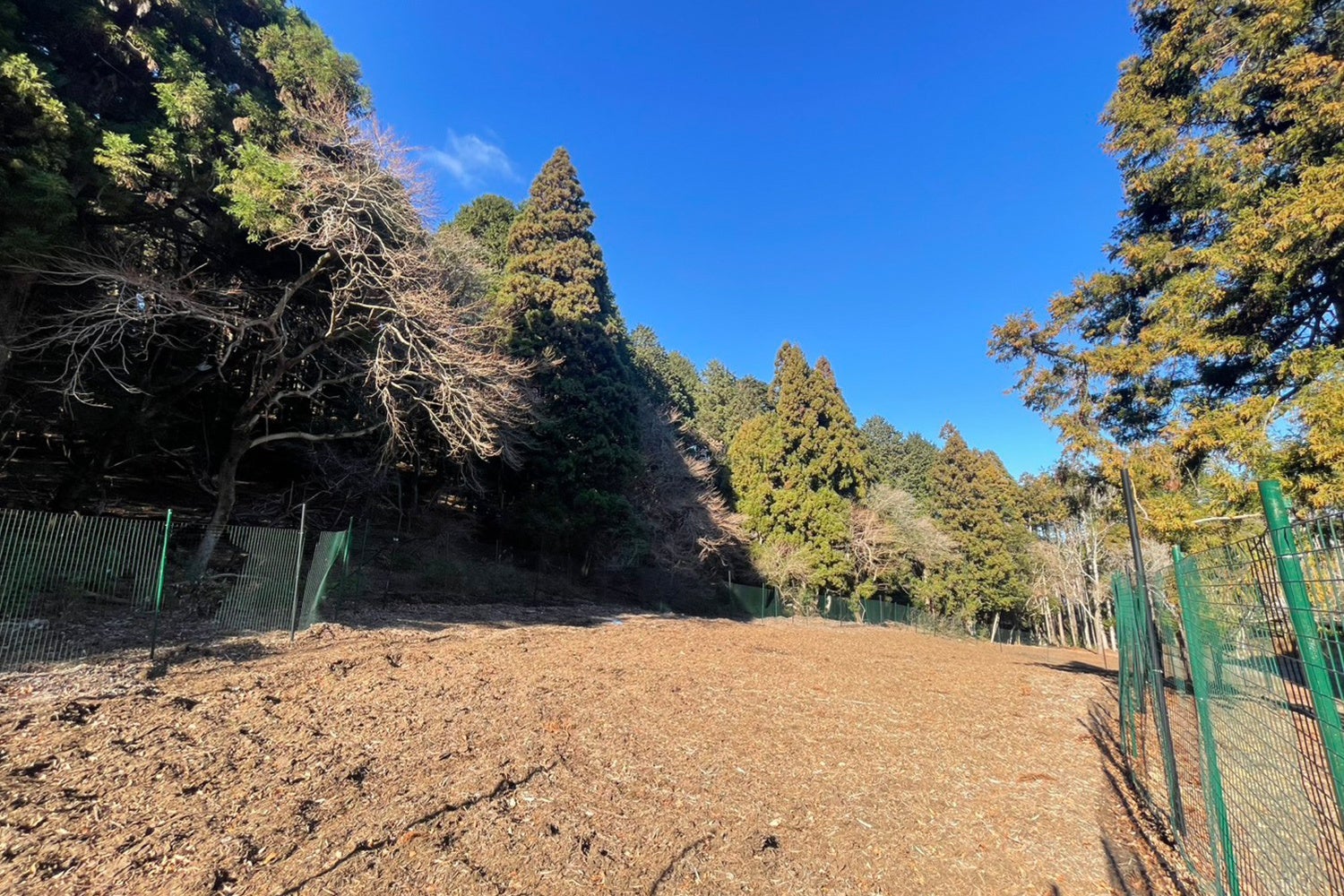 中型犬・大型犬でものびのび走り回れる無料ドッグラン「わん！フィールド」が1月11日より新規オープン