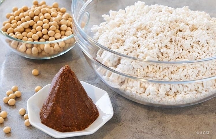 美容と健康を支えてきた発酵食に触れる、Otonamiの食体験