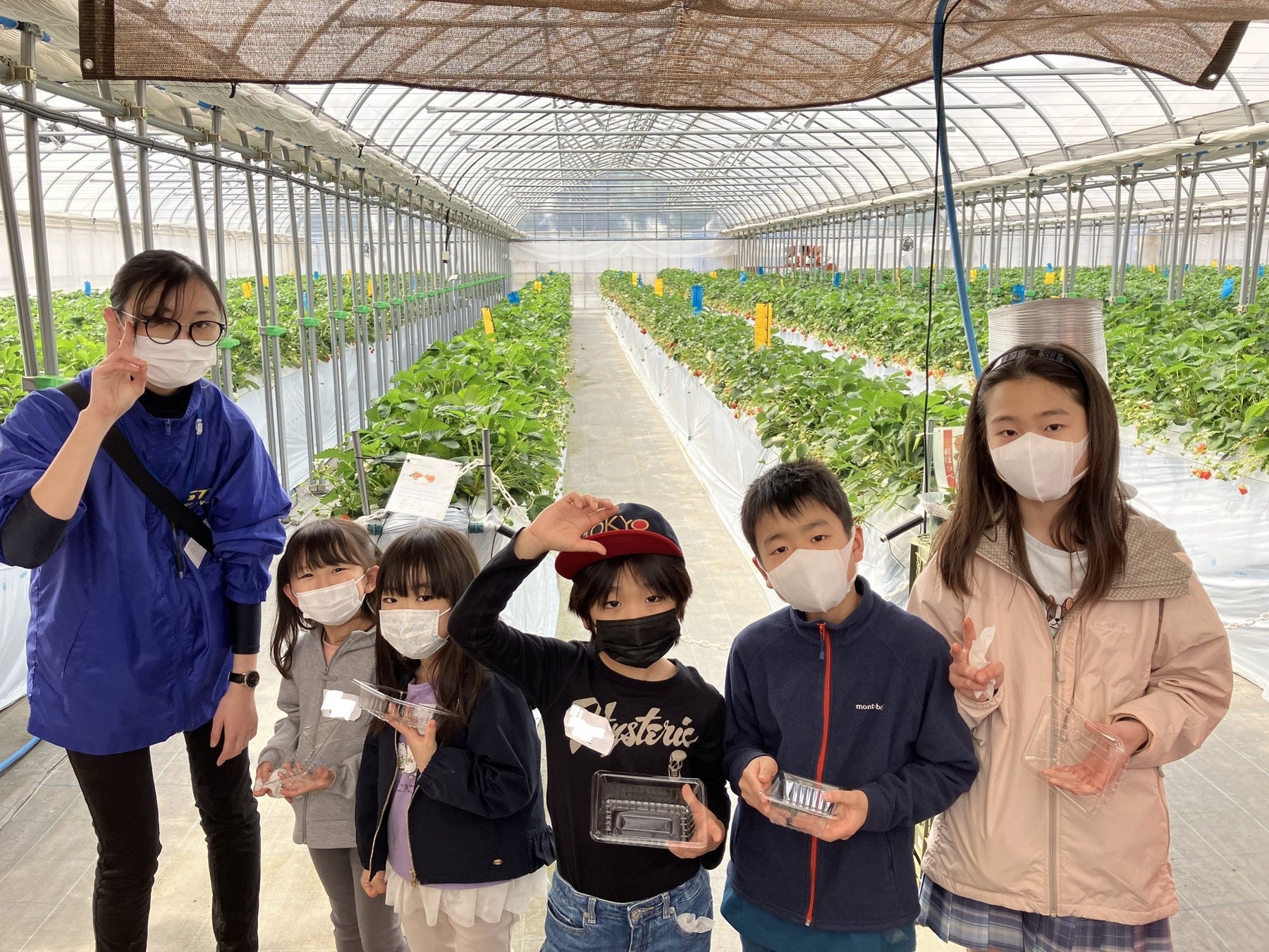 【こどもの休日の過ごし方】春の１dayキャンプ～いちご狩り＆立体迷路チャレンジ編～