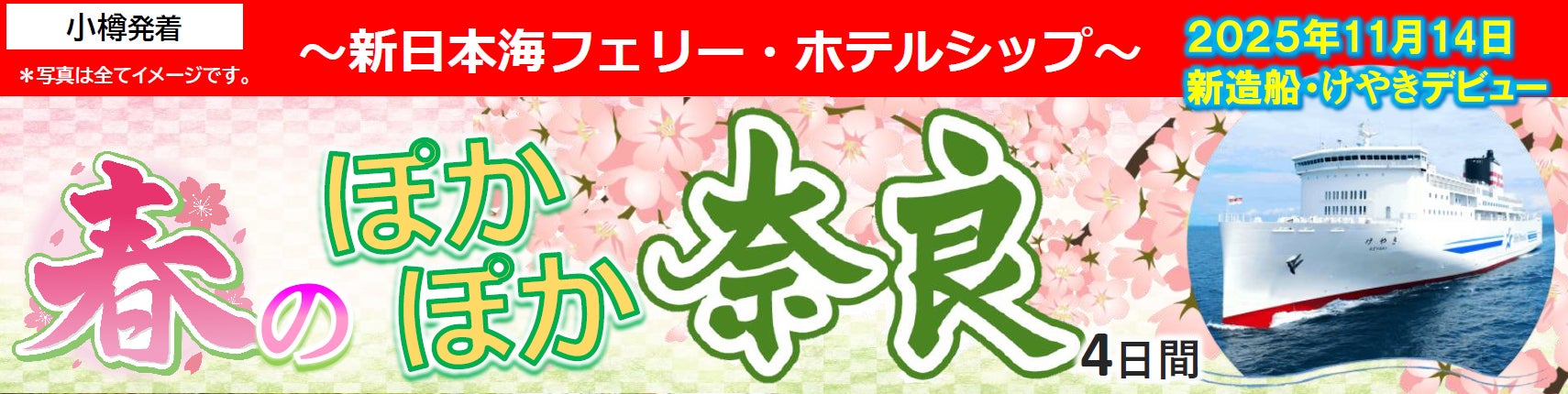 宮古島で4社の路線バス乗り放題周遊型MaaSチケット 「宮古島周遊フリーパス」をモバイルチケットで販売