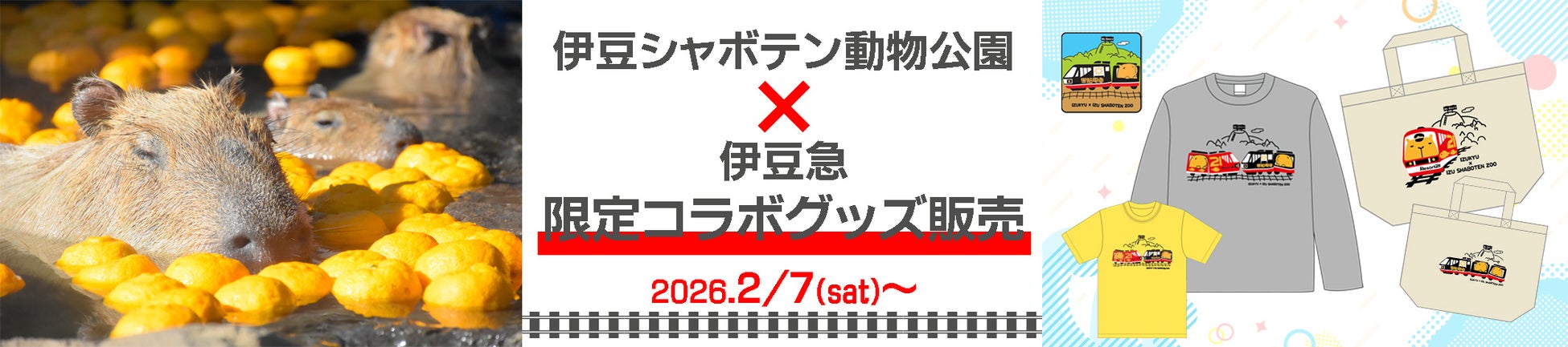 【予約解禁】源泉力特化型ホテル『源泉一途 南伊豆』2026年6月開業。2月2日（月）12:00～公式サイトより先行予約開始