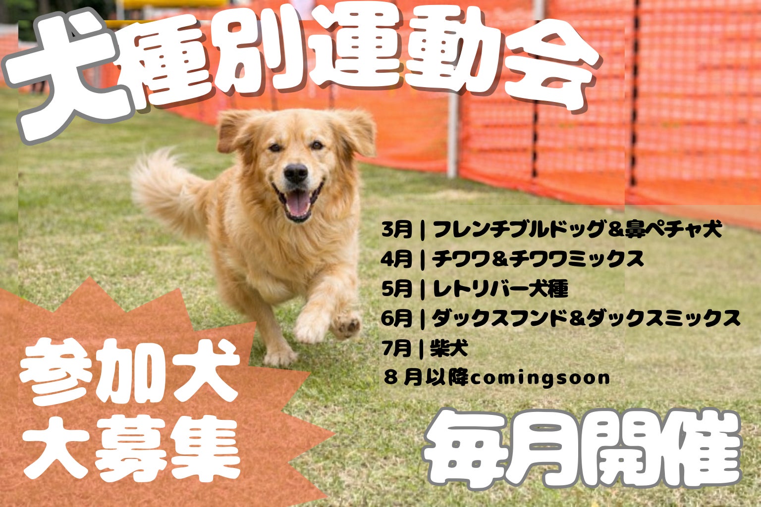 【3月から開始】同じ犬種だけで遊ぶ・楽しむ！オフ会感覚で参加できる「犬種別運動会」をエルズパーク長瀞で毎月開催。