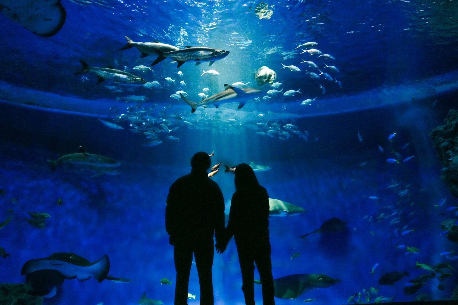 極上の時が流れる大人の隠れ家 【LA SHORO】全5棟のプライベートヴィラに、フィンランド製最新サウナを導入