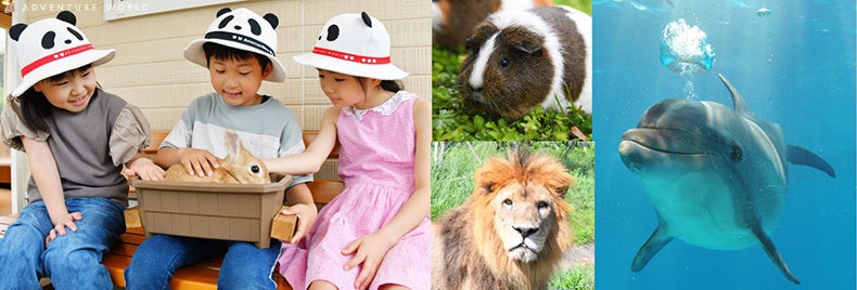 すべてのいのちを思いやる「こころ」を育む２日間。小学生対象「Smileキッズ in アドベンチャーワールド」を開催します！２０２６年５月１６日（土）～５月１７日（日）